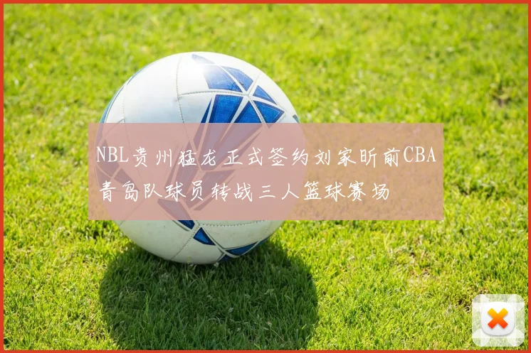 NBL贵州猛龙正式签约刘家昕前CBA青岛队球员转战三人篮球赛场